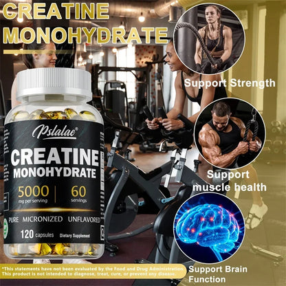 Creatine Monohydrate Capsules Muscle Strength Performance Support